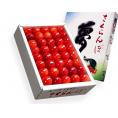 高原さくらんぼ 佐藤錦 「夢」 群馬県 月夜野産 秀品 2Lサイズ 40粒 (約300g) 化粧箱 ※冷蔵 送料無料