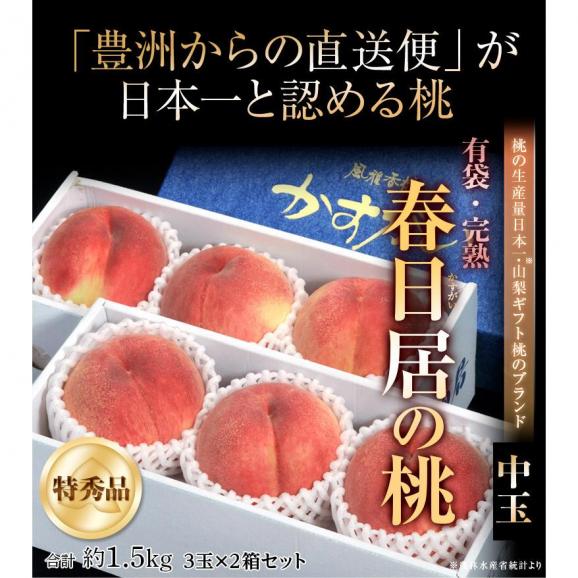 《山梨直送》『春日居の桃』山梨県産 特秀品 中玉3玉×2箱(計約1.5kg) 化粧箱 ※常温 送料無料02