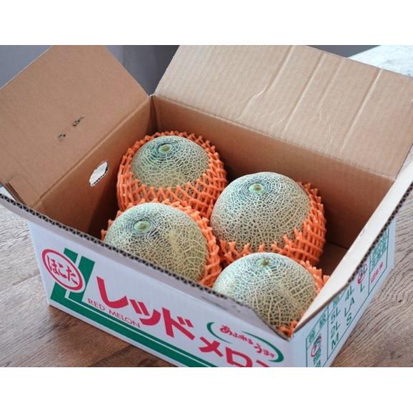赤肉メロン 茨城県産 優品~秀品 約5kg (3~5玉) 産地箱 ※常温 送料無料02
