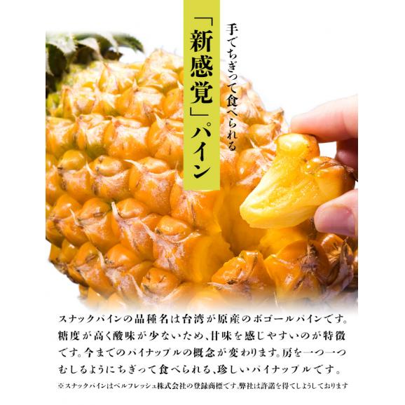 「スナックパイン」沖縄県産パイナップル　約500g×3玉　計約1.5kg　※常温　送料無料03
