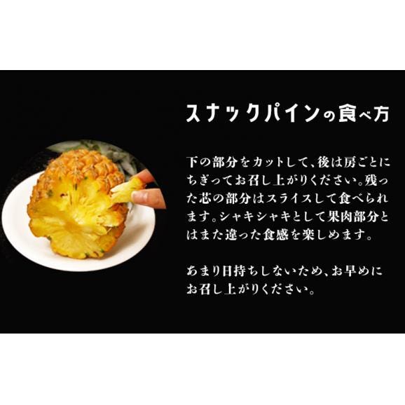 「スナックパイン」沖縄県産パイナップル　約500g×3玉　計約1.5kg　※常温　送料無料04