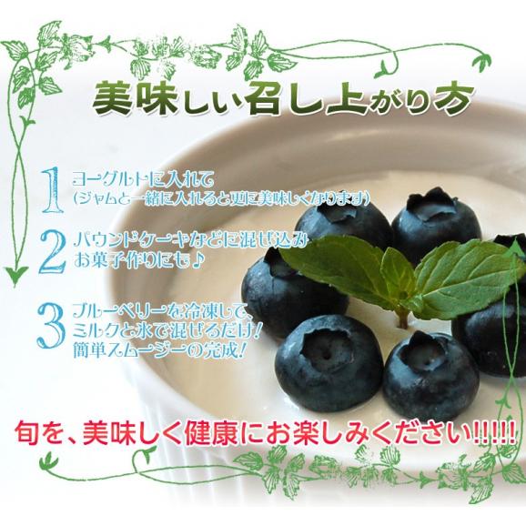 千葉県産 「生ブルーベリー」 約100g×5パック　※冷蔵 送料無料04