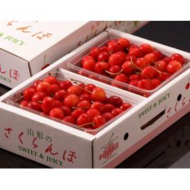 さくらんぼ 佐藤錦 山形県産 特秀品 Lサイズ 約700g（約350g×2P） 山形直送 ※冷蔵 送料無料