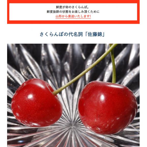 さくらんぼ 佐藤錦 山形県産 特秀品 Lサイズ 約700g（約350g×2P） 山形直送 ※冷蔵 送料無料02