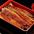 鹿児島県産 山田水産 うなぎ蒲焼き「五匠鰻」5尾 (1尾：100g～120g) ※冷凍