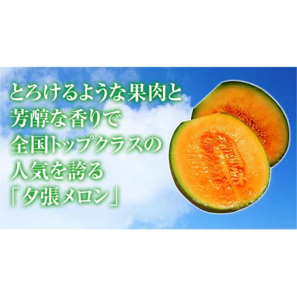 『夕張メロン』 等級：優 約1.6kg×1玉 専用箱入 北海道 夕張市農協検査場発 ※常温 送料無料02