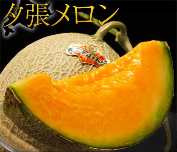 夕張メロン 北海道産 良品 1玉 約1.3kg 専用箱入 夕張市農協検査