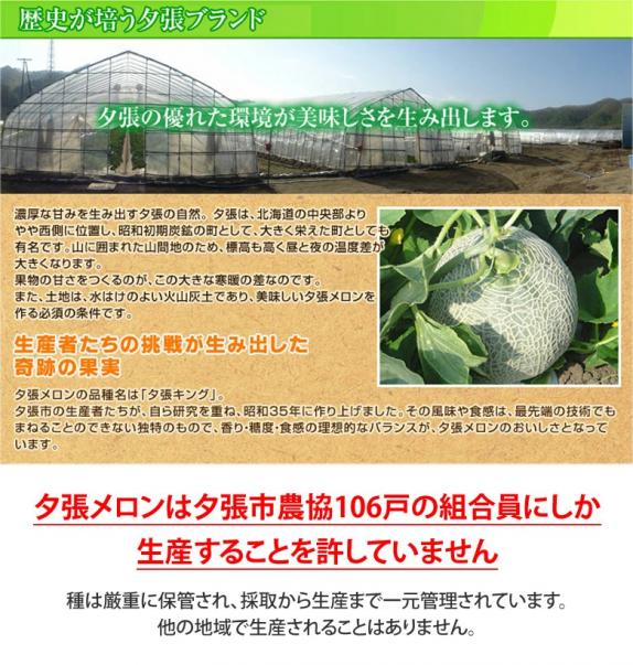 夕張メロン 北海道産 良品 1玉 約1.3kg 専用箱入 夕張市農協検査