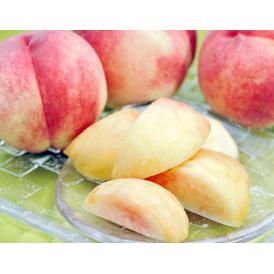 桃 もも モモ 山梨県産 大藤の浅間白桃 特秀品 約1.5kg(5～7玉) 消えゆく品種を救え 送料無料