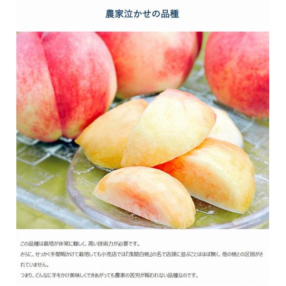 桃 もも モモ大藤の『浅間白桃』山梨県産 特秀品 約1.5kg (5～7玉) 化粧箱入り ※常温 送料無料05
