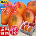 ご自宅用　訳あり 沖縄マンゴー 沖縄県産 約1.5kg（3～6玉）産地箱 多少のキズ、黒点等あり ※冷蔵 送料無料