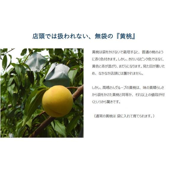 高嶋さんグループの『紅い黄桃（無袋黄桃：黄金桃・黄貴妃・黄ららのきわみ・他）』 山形県産 約2kg 7～10玉 簡易箱 ※常温 送料無料03