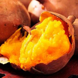 長期熟成 『安納紅芋』 鹿児島県 種子島産 安納芋 正規品 約5kg ※常温 送料無料