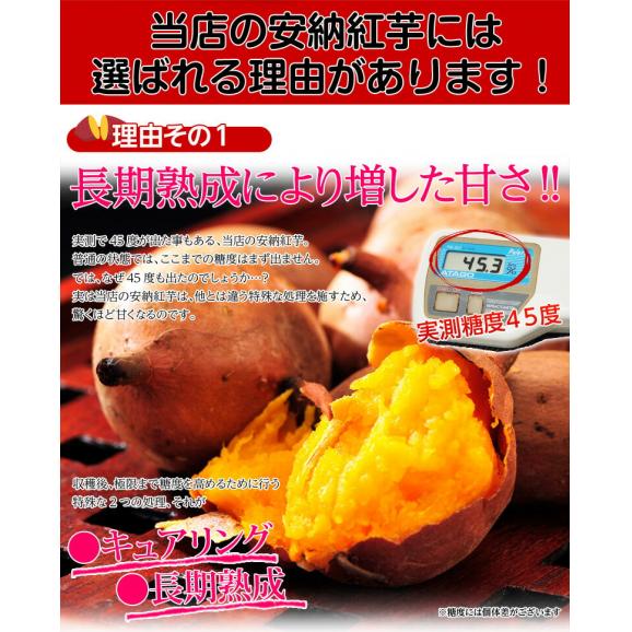 長期熟成 『安納紅芋』 鹿児島県 種子島産 安納芋 正規品 約5kg ※常温 送料無料02