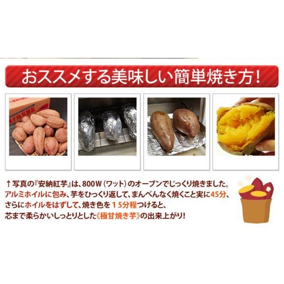 長期熟成 『安納紅芋』 鹿児島県 種子島産 安納芋 正規品 約5kg ※常温 送料無料06