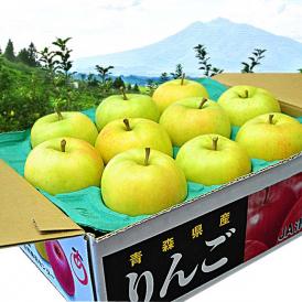 旬の『トキりんご』 青森県産 JA津軽みらい 特Ａ 約3kg （9～12玉） ※常温　送料無料