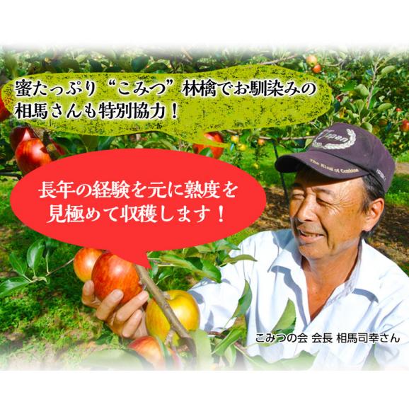 旬の『トキりんご』 青森県産 JA津軽みらい 特Ａ 約3kg （9～12玉） ※常温　送料無料05