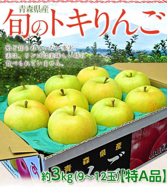 旬の『トキりんご』 青森県産 JA津軽みらい 特A 約3kg （9～12玉