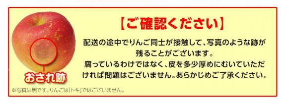 旬の『トキりんご』 青森県産 JA津軽みらい 特A 約3kg （9～12玉