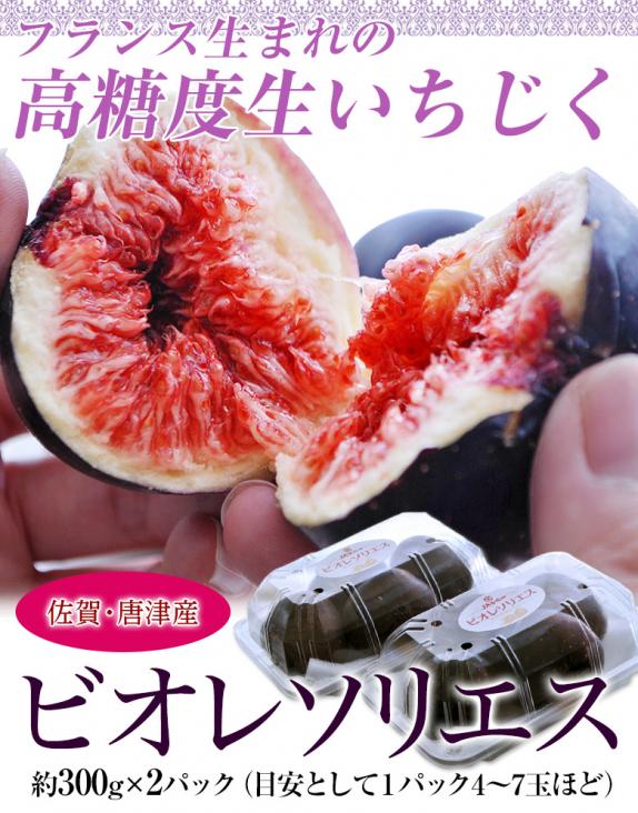 【5％OFF】 いちじく イチジク 佐賀県産 黒イチジク 黒いちじく 果樹