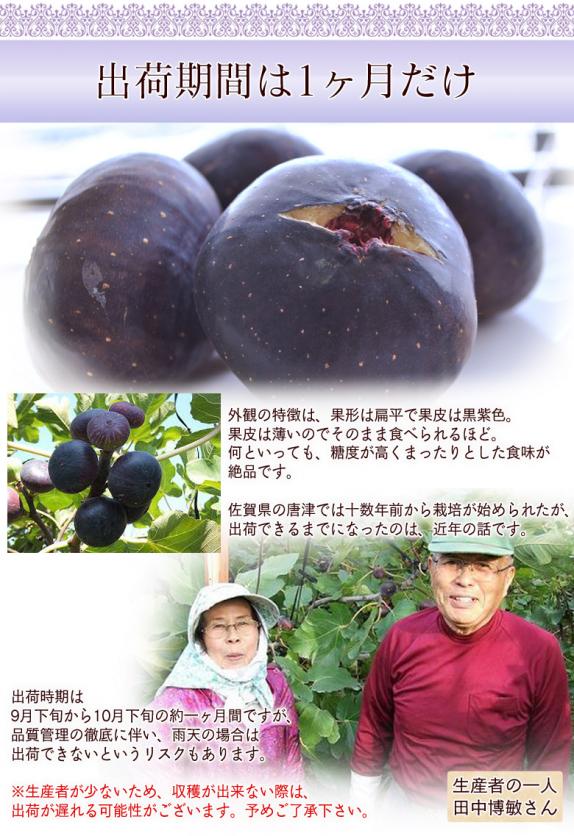 いちじく イチジク 黒いちじく 黒イチジク 佐賀県産