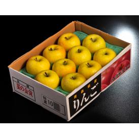 りんご 林檎 リンゴ 青森県産 星の金貨 9～13玉 約3キロ 特Ａ 送料無料