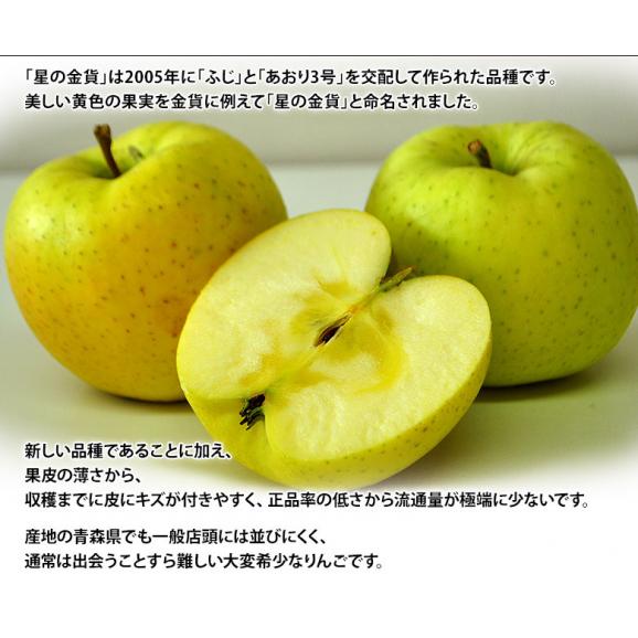 りんご 林檎 リンゴ 青森県産 星の金貨 9～13玉 約3キロ 特Ａ 送料無料02