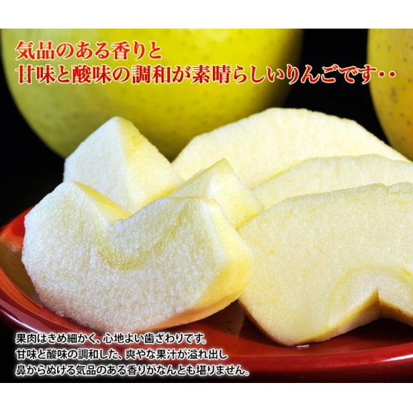 りんご 林檎 リンゴ 青森県産 星の金貨 9～13玉 約3キロ 特Ａ 送料無料03
