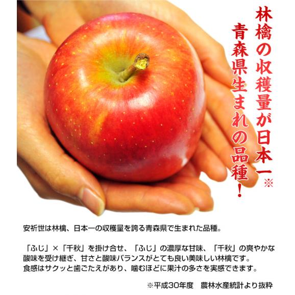 『安祈世（あきよ）』青森県産りんご 特A 約3kg（10～15玉）※常温　送料無料02