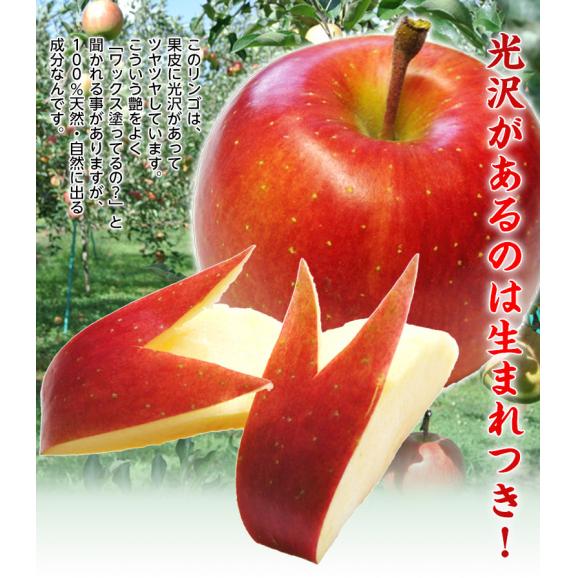 『安祈世（あきよ）』青森県産りんご 特A 約3kg（10～15玉）※常温　送料無料03