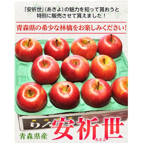 安祈世（あきよ） 青森県産りんご 特A 約3kg（9～12玉）※常温　送料無料05