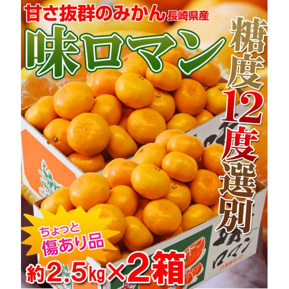 【糖度12度選別】 極甘みかん 『味ロマン』 JA長崎せいひ 約2.5kg×2箱 外皮に傷あり (2S～Mサイズ）※常温　送料無料02