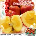 超小玉 こみつ　究極の蜜入りりんご 青森県産 約1.8kg　13玉　※常温　りんご