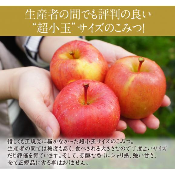 超小玉 こみつ　究極の蜜入りりんご 青森県産 約1.8kg　13玉　※常温　りんご02