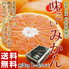 みかん ミカン 和歌山県産 早和果樹園の 味こいみかん S～L 約3kg ※常温 送料無料