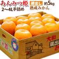 蔵出し 熟成みかん『あんみつ姫』佐賀県産 2L～3Lサイズ 約5kg（25～32玉） 手詰め 産地箱入 ※常温 送料無料