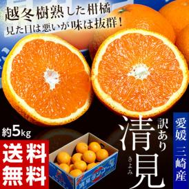 越冬樹熟 清見オレンジ 訳あり品 JAにしうわ三崎共選　愛媛県産 M～3L 風袋込 約5kg 産地箱 ※常温 送料無料