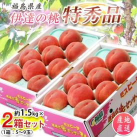 福島県産  伊達の桃 特秀品 約1.5kg×2箱 (1箱：5～9玉) 産地直送 ※常温 送料無料