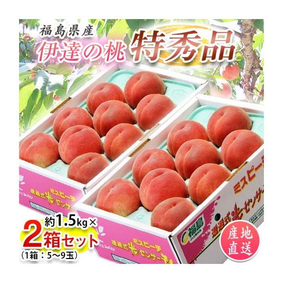 福島県産 伊達の桃 特秀品 約1.5kg×2箱 (1箱:5~9玉) 産地直送 ※常温 送料無料01