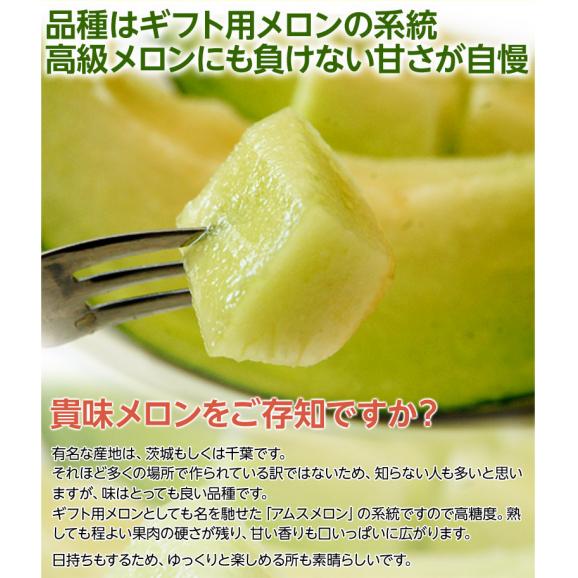 『貴味メロン(青肉)』 茨城県産 大玉 3～4玉 約4.5kg ※常温 送料無料03