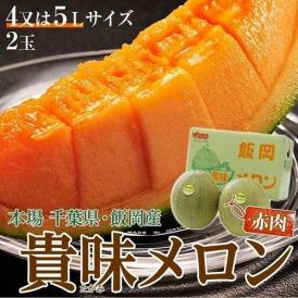 貴味レッドメロン（赤肉） 千葉県・飯岡産  2玉 合計 風袋込　約3.6kg ( 4～6Lサイズ)　秀品以上 ※常温　送料無料