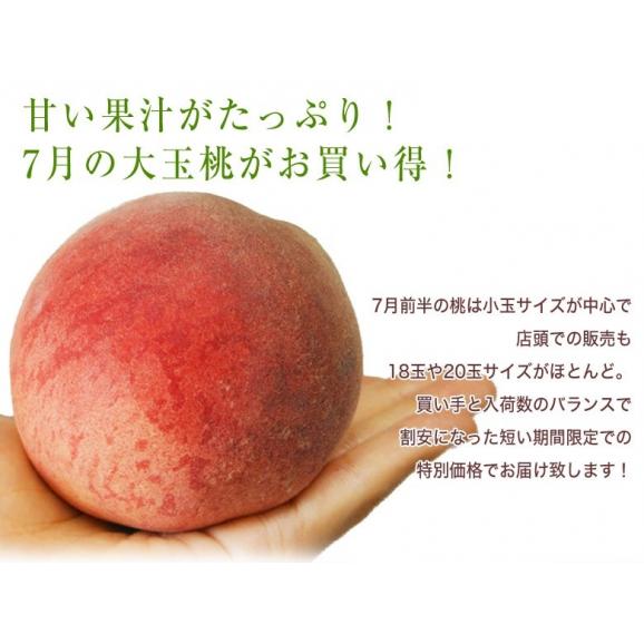 ご家庭用 『大玉桃』山梨県産 風袋込 約5kg （13～16玉） 産地箱 ※常温 送料無料02
