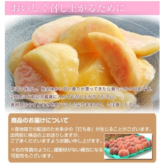 ご家庭用 『大玉桃』山梨県産 風袋込 約5kg （13～16玉） 産地箱 ※常温 送料無料04