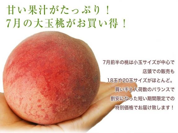 ご家庭用 『大玉桃』山梨県産 風袋込 約5kg （13～16玉） 産地箱 ※常温