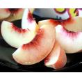 伊達の桃 福島県産 特秀品 約2.3kg 大玉 （6～8玉） 簡易箱 ※冷蔵 送料無料
