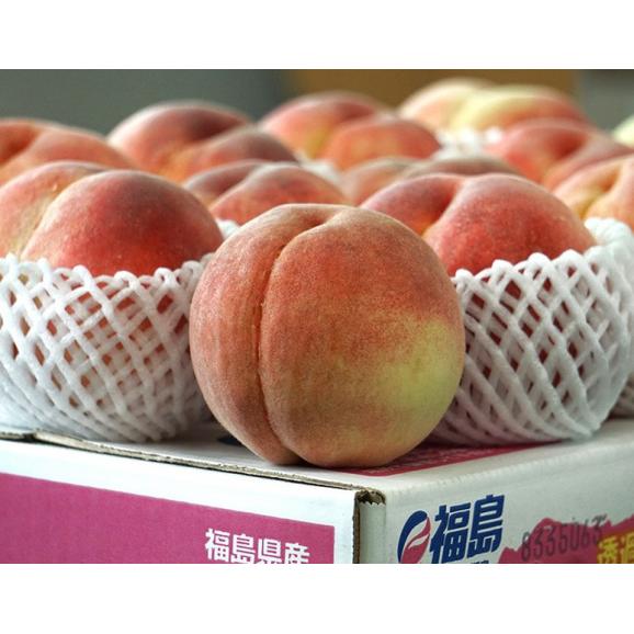 伊達の桃 福島県産 特秀品 約2.3kg 大玉 （6～8玉） 簡易箱 ※冷蔵 送料無料02
