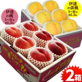 伊達の桃『白桃＆黄桃セット』 福島県産 もも 各1.5kg×2箱　(1箱：5～10玉) 計約3kg 常温 送料無料