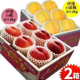 伊達の桃 ミスピーチ 白桃＆黄桃セット 福島県産 秀品UP 2箱 (各1.2kg 4〜7玉目安）産地箱 ※常温 送料無料　桃　黄桃