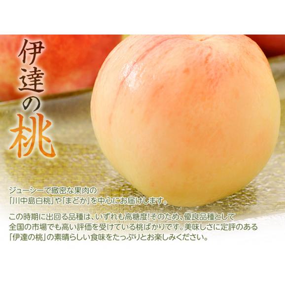 伊達の桃『白桃＆黄桃セット』 福島県産 もも 各1.5kg×2箱　(1箱：5～10玉) 計約3kg 常温 送料無料04