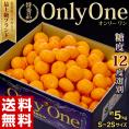 糖度12度選別 JAからつ みかん Only One 特秀品 約5kg S～2Sサイズ 佐賀県産 ※常温 送料無料